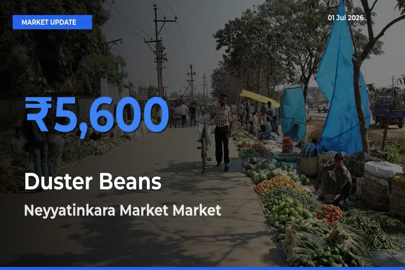 Farmers Prefer Neyyatinkara Market as Duster Beans Hits Highest Rate