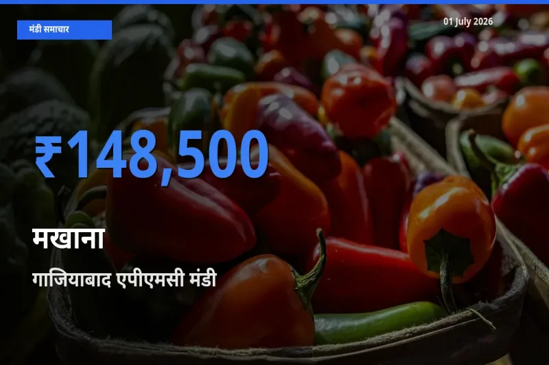 01 July अपडेट: मखाना के सबसे ऊँचे दाम गाजियाबाद एपीएमसी मंडी में