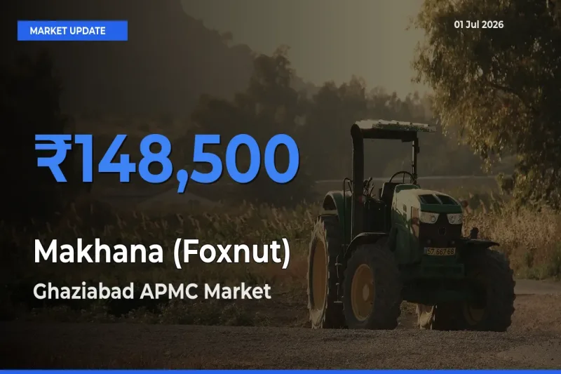 Ghaziabad APMC Tops Makhana (Foxnut) Mandi Rates Today