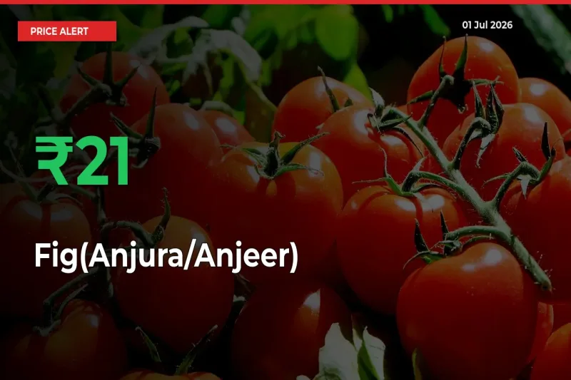 Fig(Anjura/Anjeer) Mandi Rate Today: Prices Jump 21.15% at Market