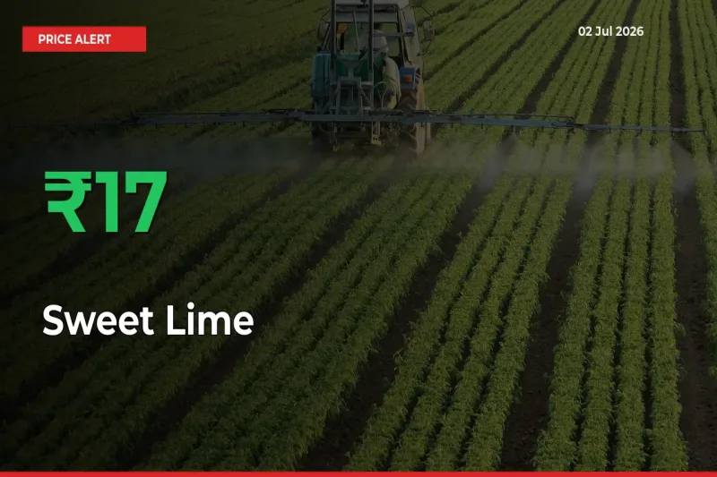 Sweet Lime Rises 16.58% at Mandis