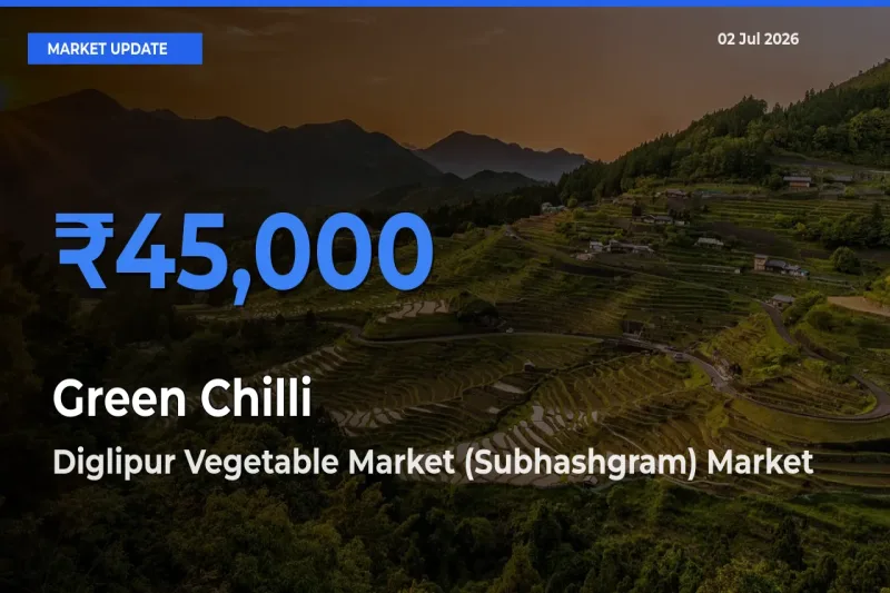 Diglipur Vegetable Market (Subhashgram) Tops Green Chilli Rates – July 02 Market Update