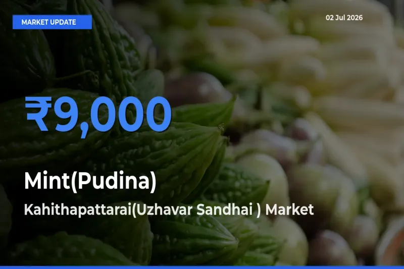 Kahithapattarai(Uzhavar Sandhai ) Records Highest ₹9,000 Rate for Mint(Pudina)