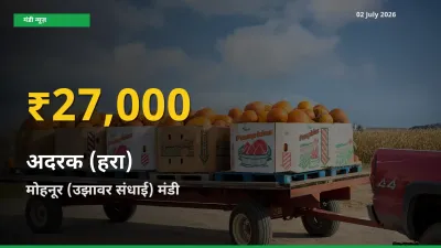 रिकॉर्ड तेज़ी! मोहनूर (उझावर संधाई) में अदरक (हरा) ₹27,000 पर पहुँचा