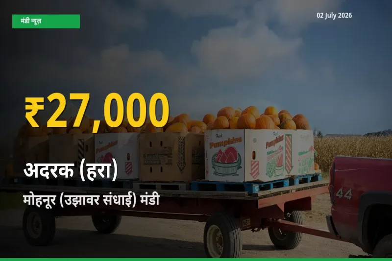 रिकॉर्ड तेज़ी! मोहनूर (उझावर संधाई) में अदरक (हरा) ₹27,000 पर पहुँचा