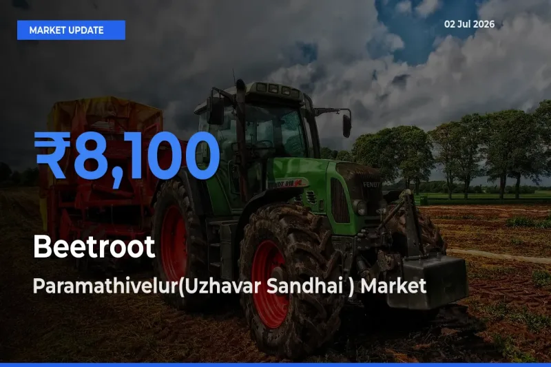 Paramathivelur(Uzhavar Sandhai ) Tops Beetroot Mandi Rates Today