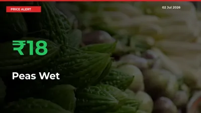 Farmers Cheer as Peas Wet Prices Surge 18.41% in Local Mandis
