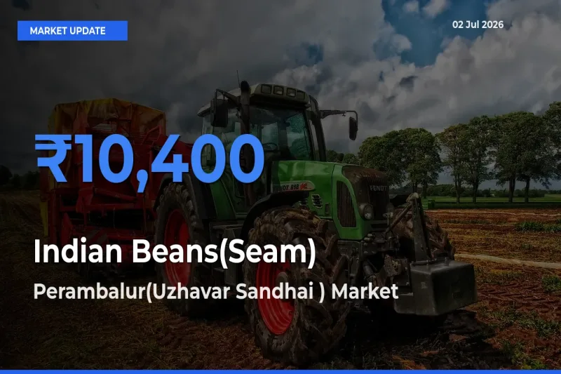 Perambalur(Uzhavar Sandhai ) Emerges as Top Mandi for Indian Beans(Seam) Prices Today