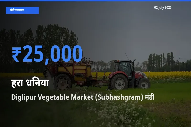आज हरा धनिया के सबसे ऊँचे दाम ₹25,000 Diglipur Vegetable Market (Subhashgram) मंडी में