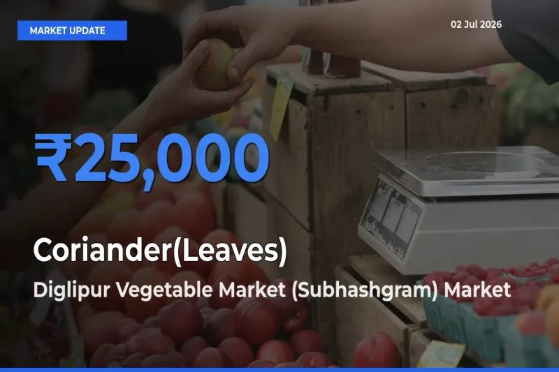 Diglipur Vegetable Market (Subhashgram) Tops Coriander(Leaves) Mandi Rates Today