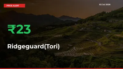 Sudden 22.99% Rally in Ridgeguard(Tori) Prices Across Mandis