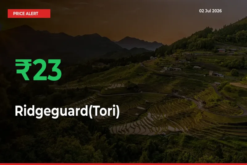 Sudden 22.99% Rally in Ridgeguard(Tori) Prices Across Mandis