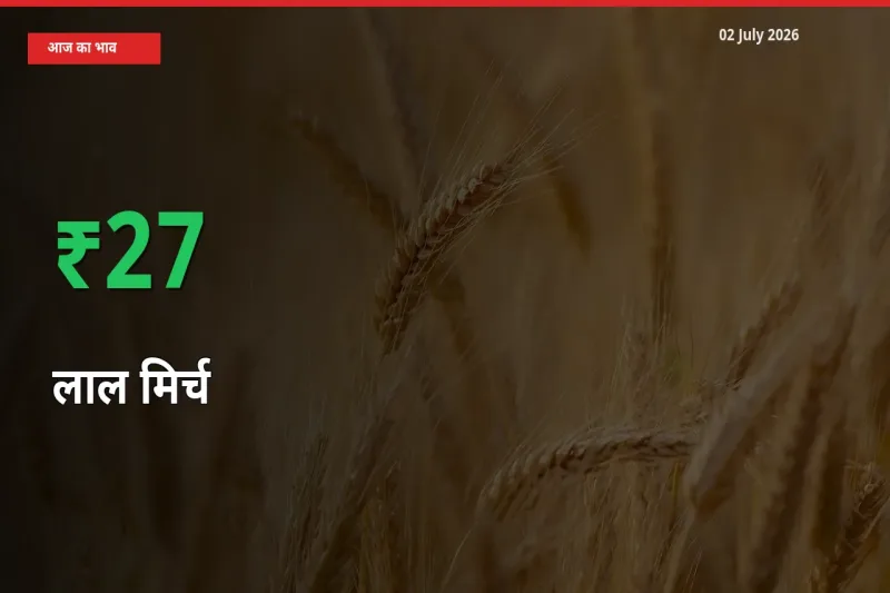 बाज़ार संकेत: लाल मिर्च के भाव मंडी में 26.87% ऊपर