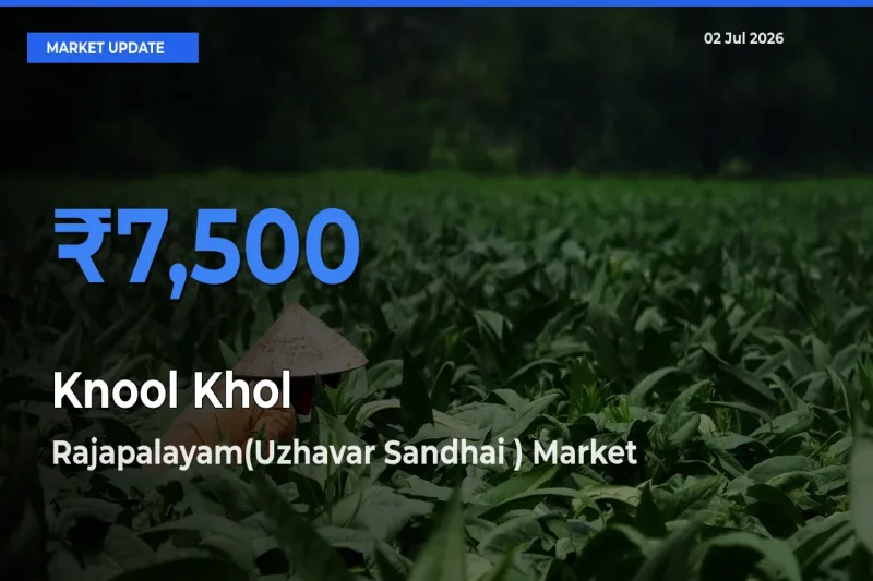 Top Performer! Rajapalayam(Uzhavar Sandhai ) Offers Best Knool Khol Price Today