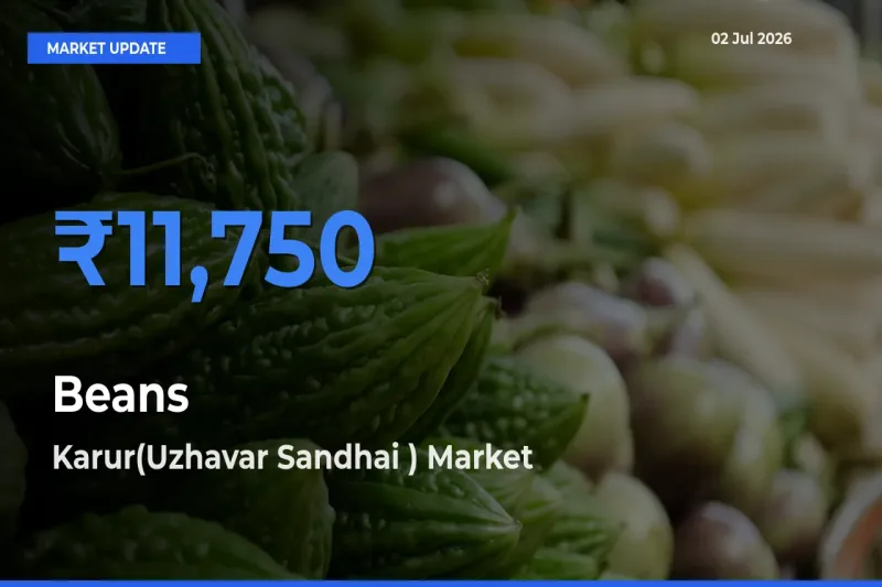 Karur(Uzhavar Sandhai ) Leads as Top Mandi for Beans Prices
