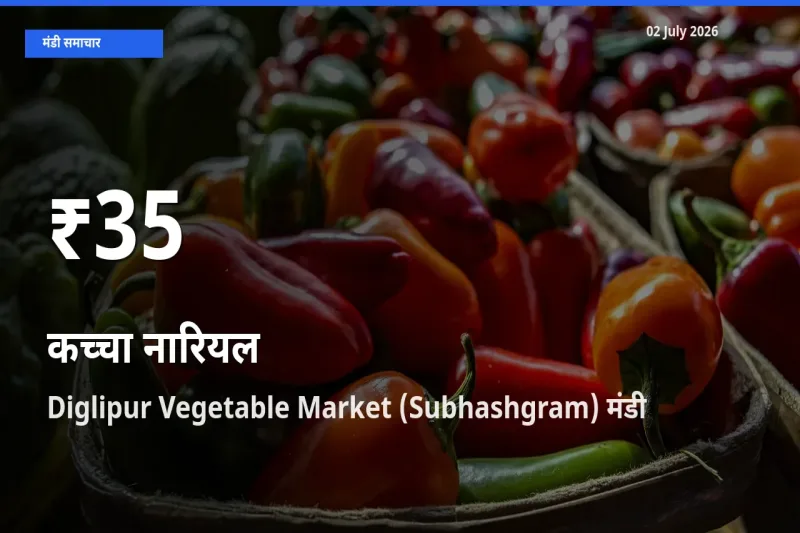 Diglipur Vegetable Market (Subhashgram) में कच्चा नारियल के दाम 30 दिन के न्यूनतम स्तर पर, आज का मंडी भाव देखें