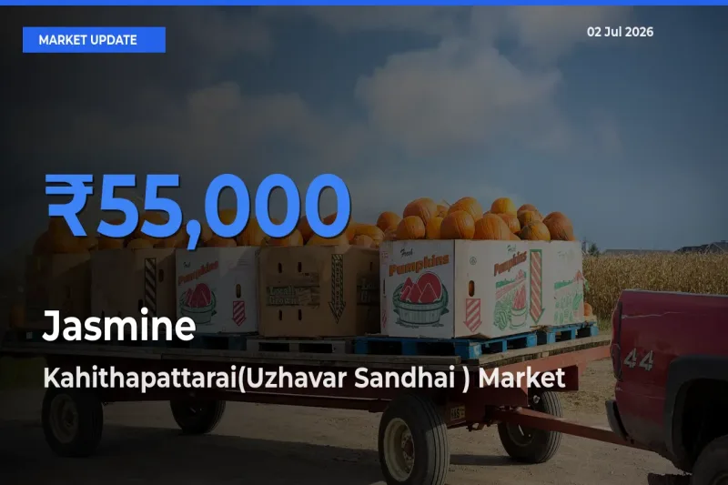 Kahithapattarai(Uzhavar Sandhai ) Emerges as Top Mandi for Jasmine Prices Today