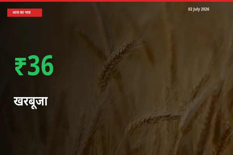 02 July अपडेट: खरबूजा के दाम मंडी में 35.67% उछले
