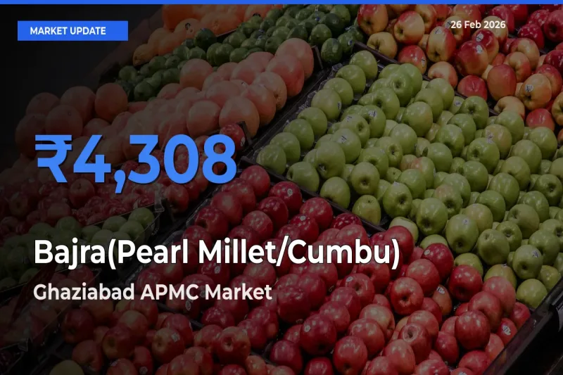 Ghaziabad APMC Offers ₹4,308 – Highest Bajra(Pearl Millet/Cumbu) Rate Today