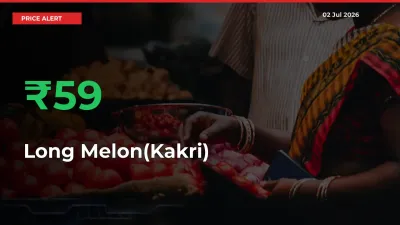 Long Melon(Kakri) Rises 59.18% at Mandis