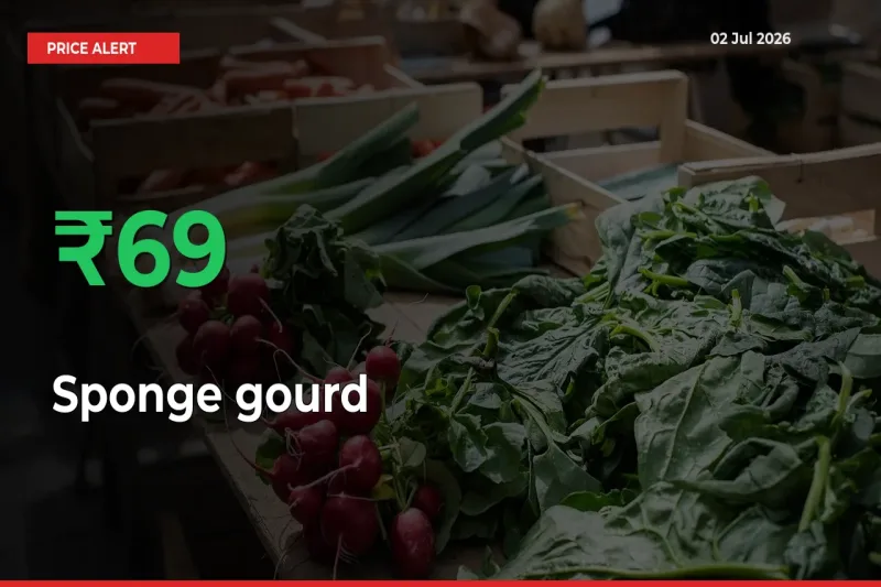 Why Sponge gourd Prices Rose 69.2% in a Day at Mandis