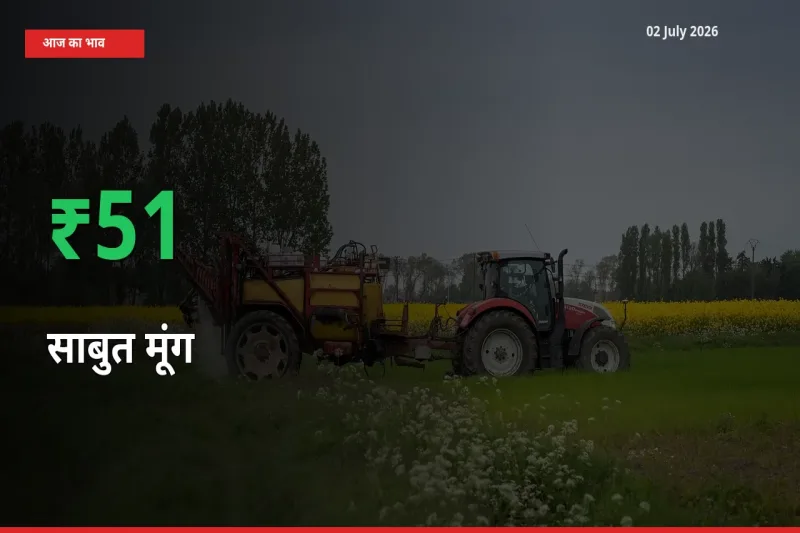 बाज़ार संकेत: साबुत मूंग के भाव मंडी में 51.2% ऊपर
