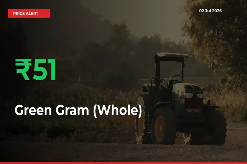 Green Gram (Whole) Prices Rise 51.2% in a Day at Major Mandis