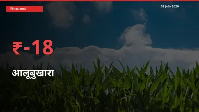 बाज़ार संकेत: आलूबुखारा के भाव मंडी में 17.85% नीचे