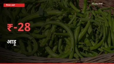 आड़ू के दाम प्रमुख मंडी में 27.75% गिरे, 24 घंटे में बड़ा बदलाव