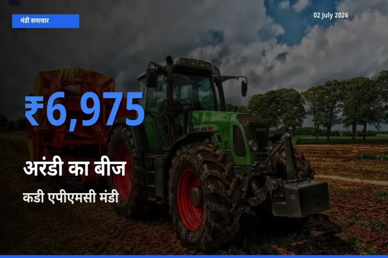 बाज़ार संकेत: कडी एपीएमसी बना अरंडी का बीज के लिए आज की टॉप मंडी
