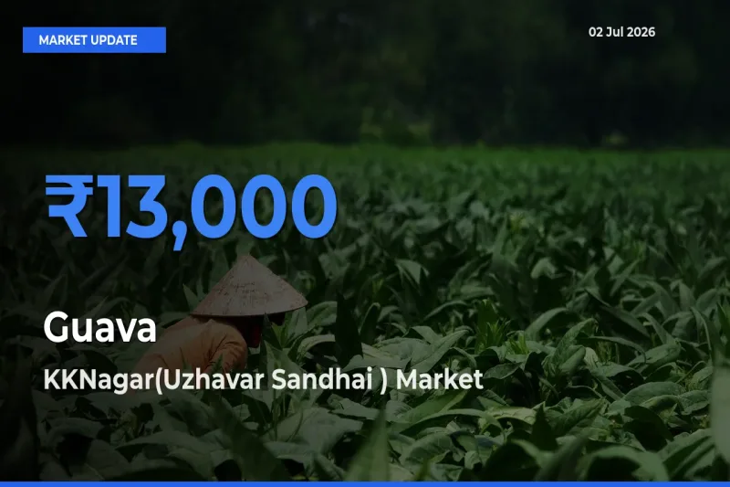 Farmers Prefer KKNagar(Uzhavar Sandhai ) as Guava Hits Highest Rate