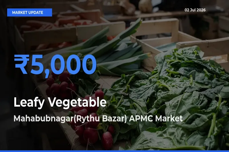 Leafy Vegetable Mandi Rate Today: Mahabubnagar(Rythu Bazar) APMC Tops the List