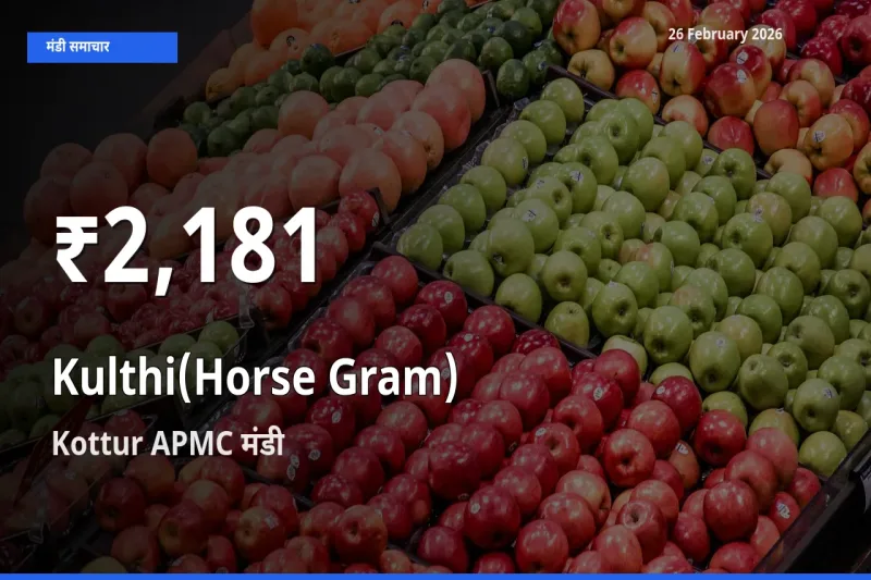 तेज़ गिरावट! Kottur APMC में Kulthi(Horse Gram) के दाम 30 दिन के निचले स्तर पर