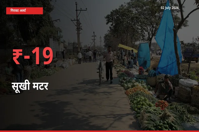 सूखी मटर के दाम प्रमुख मंडी में 19.46% गिरे, 24 घंटे में बड़ा बदलाव