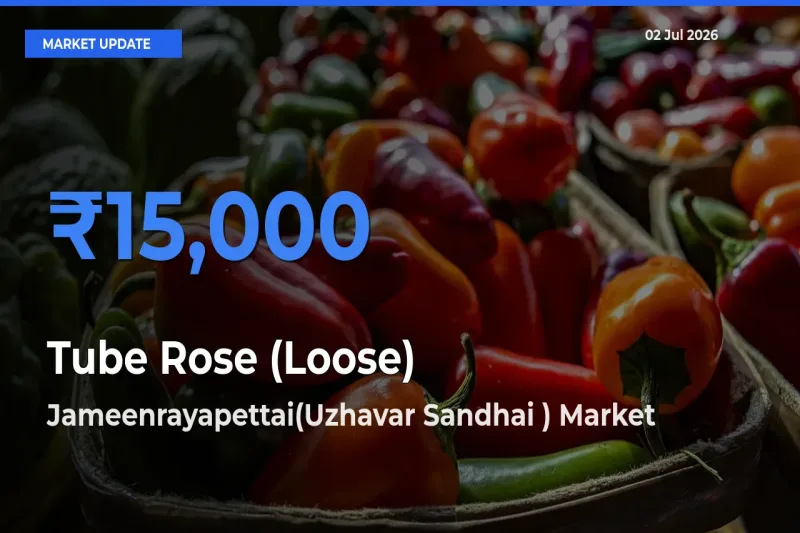 Farmers Prefer Jameenrayapettai(Uzhavar Sandhai ) as Tube Rose (Loose) Hits Highest Rate