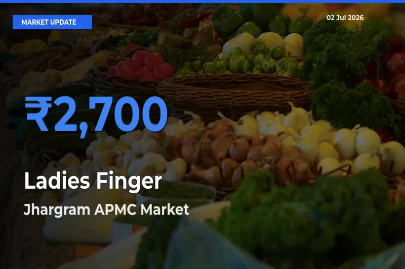Jhargram APMC Leads as Top Mandi for Ladies Finger Prices