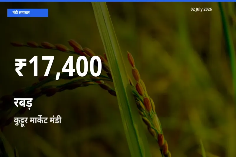 कुट्टूर मार्केट में रबड़ ₹17,400 पर गिरा – 30 दिन का न्यूनतम भाव