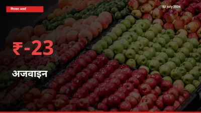 अजवाइन 23.02% गिरा, मंडी