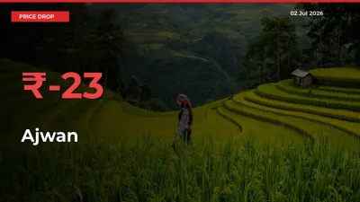 Farmers Alert as Ajwan Prices Slide 23.02% in Local Mandis