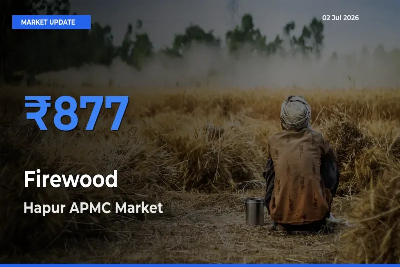 Farmers Prefer Hapur APMC as Firewood Hits Highest Rate