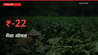 मेंथा ऑयल के दाम प्रमुख मंडी में 22.47% गिरे, 24 घंटे में बड़ा बदलाव