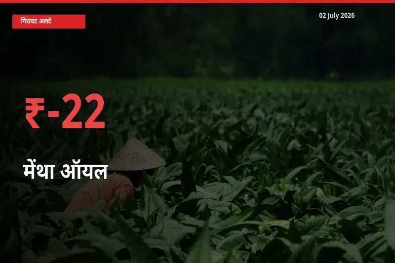 मेंथा ऑयल के दाम प्रमुख मंडी में 22.47% गिरे, 24 घंटे में बड़ा बदलाव