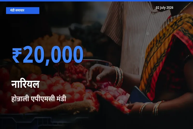 आज नारियल के सबसे ऊँचे दाम ₹20,000 होन्नाली एपीएमसी मंडी में
