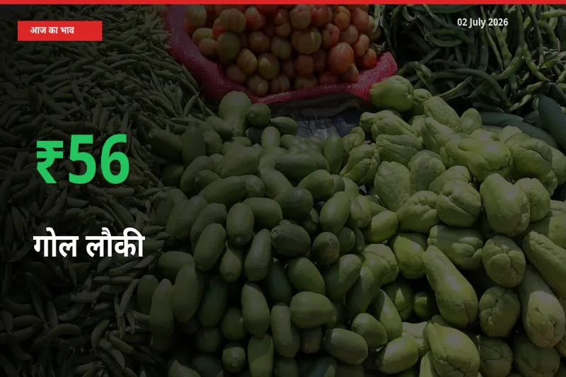 गोल लौकी के दाम प्रमुख मंडी में 56.3% बढ़े, 24 घंटे में बड़ा बदलाव
