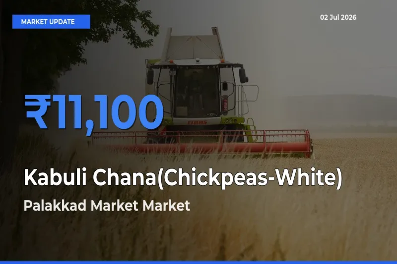 Farmers Prefer Palakkad Market as Kabuli Chana(Chickpeas-White) Hits Highest Rate