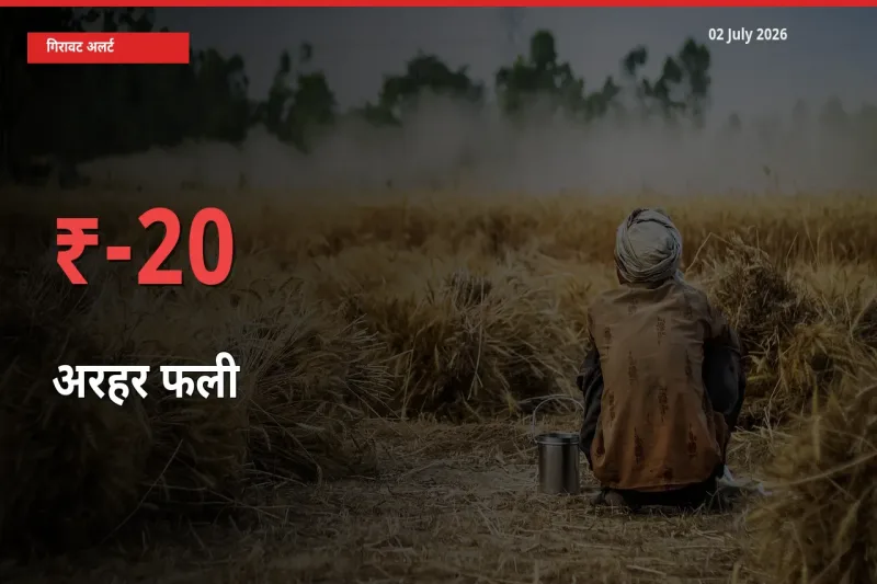02 July अपडेट: अरहर फली के दाम मंडी में 19.84% गिरे