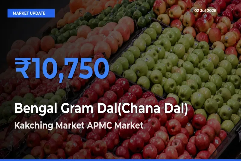 Farmers Prefer Kakching Market APMC as Bengal Gram Dal(Chana Dal) Hits Highest Rate