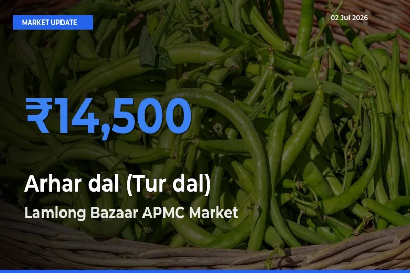 Farmers Prefer Lamlong Bazaar APMC as Arhar dal (Tur dal) Hits Highest Rate