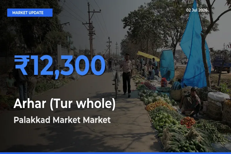 Palakkad Market Tops Arhar (Tur whole) Mandi Rates Today
