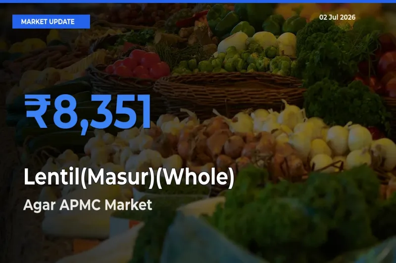 Agar APMC Emerges as Top Mandi for Lentil(Masur)(Whole) Prices Today